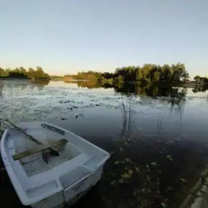 Valtis "Glaudžių tvenkinyje"